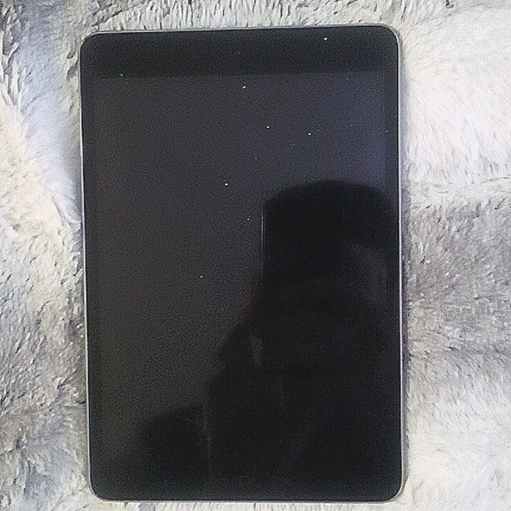 Apple iPad